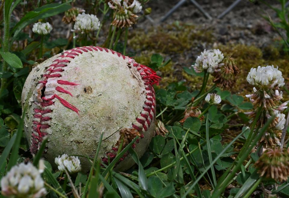 Lost Ball | Shutterbug